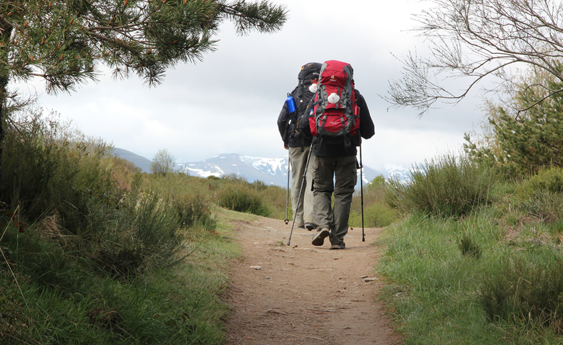 Camino de Santiago